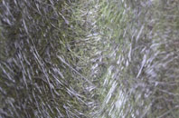 Colychurch fibreglass roof work